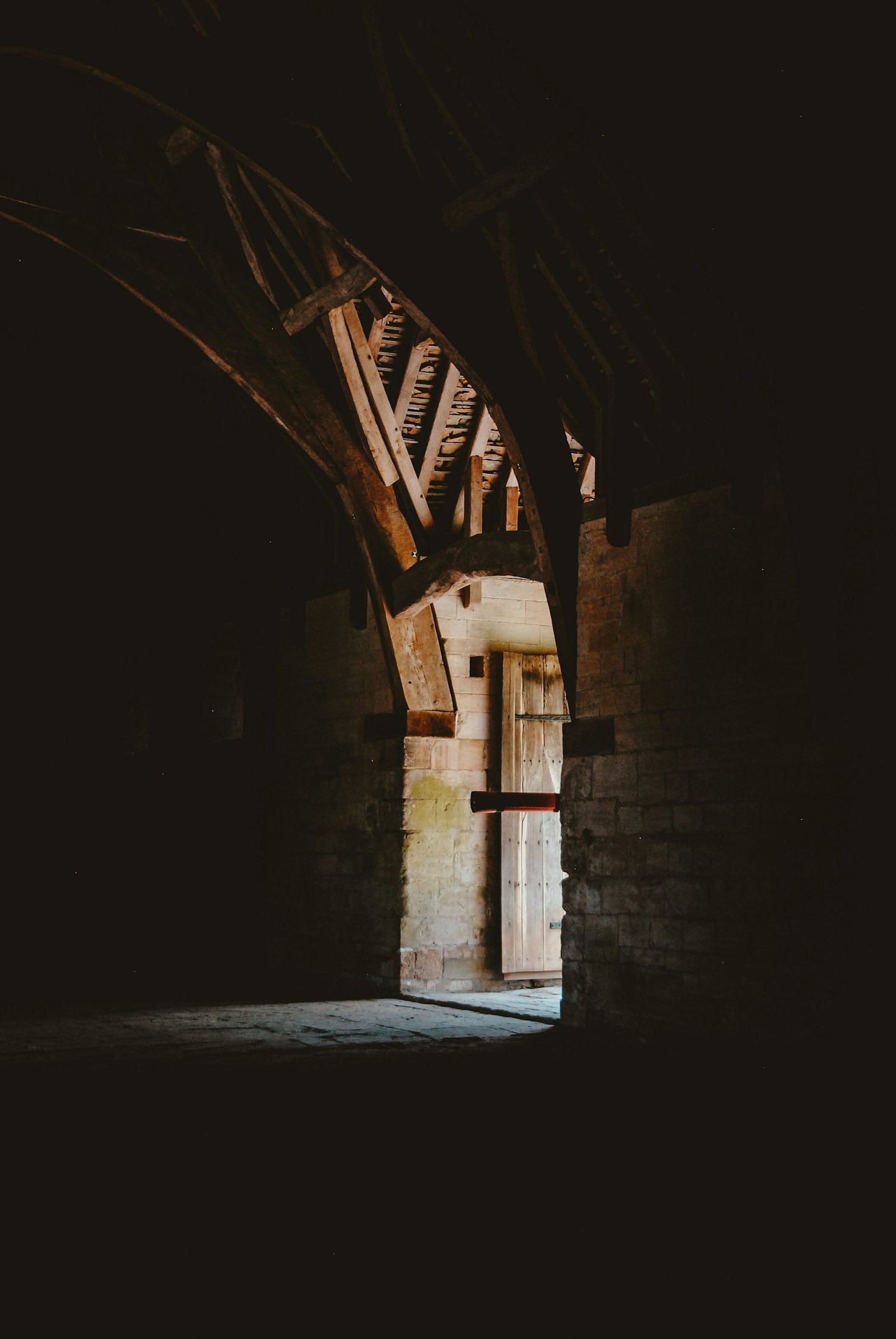 How To Support Our Ongoing Restoration Efforts